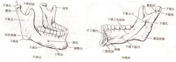 attachments-2020-03-g2Un2YMK5e63422d14fb1.jpeg
