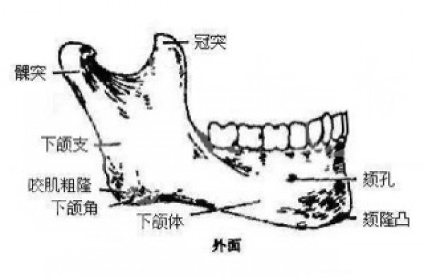 attachments-2020-03-xn3lrfIi5e748677206cc.jpeg