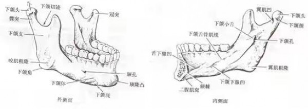 attachments-2020-03-yBU4kM9a5e819a8b6b86d.jpeg