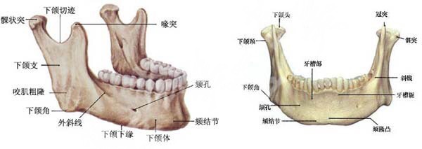 attachments-2020-05-t5Av8K9K5eb013ed7cb16.jpeg