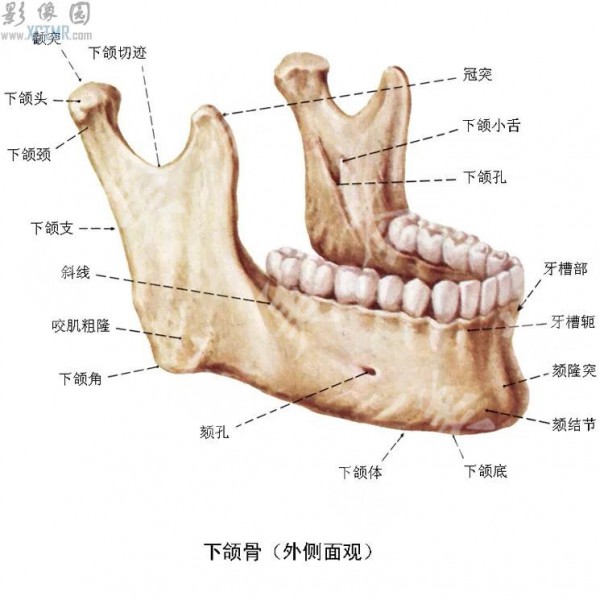 attachments-2020-08-aEl3ftmH5f3bc90f39757.jpeg