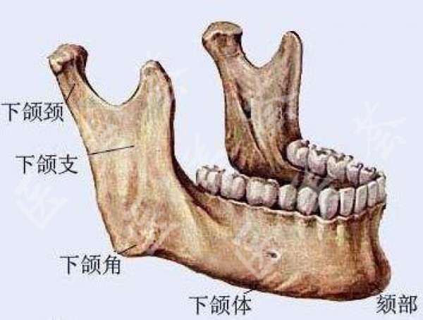 attachments-2020-09-7aPJo19D5f658a04c8458.jpeg