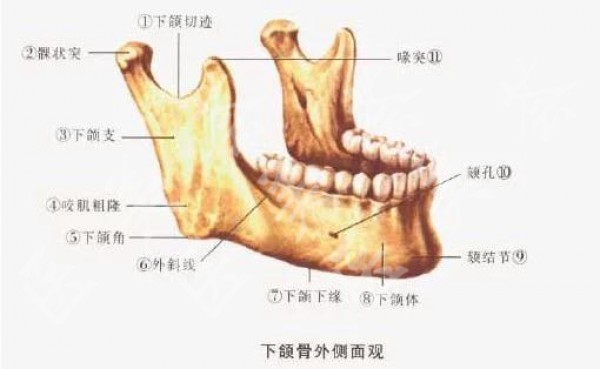 attachments-2020-09-ANWq3UXy5f5c53ecad178.jpeg
