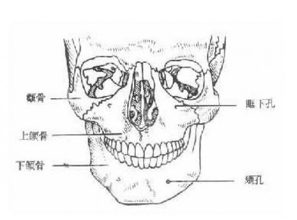 attachments-2020-09-cb9Qwu6L5f4f1926ecfcf.jpeg