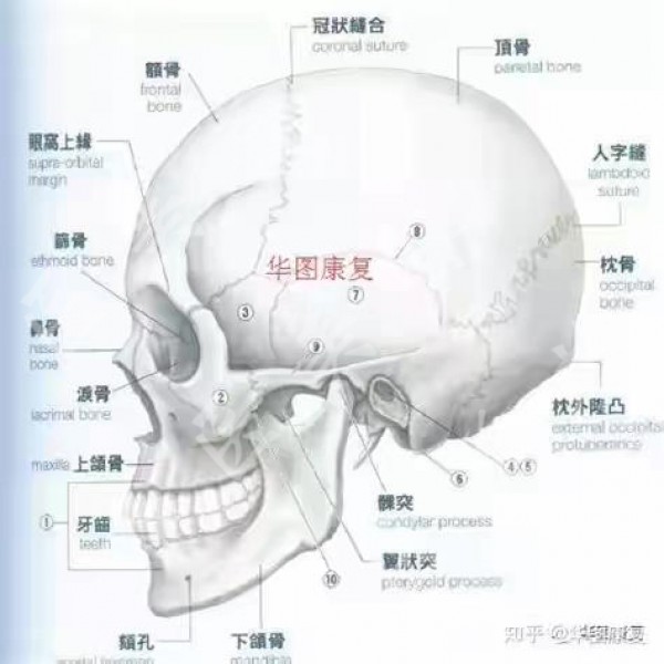 attachments-2021-02-xbJNNBVr603759d310ed7.jpeg