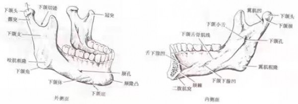 attachments-2021-04-joyZ0YbY60666e9cc380d.jpeg