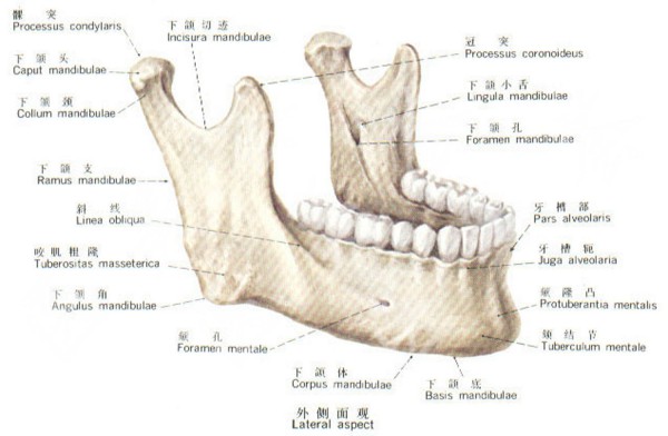 attachments-2021-05-EJrFJgYI60ab0ae47327f.jpeg