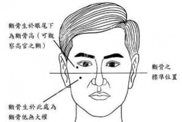 attachments-2021-05-PmBBXYib60a85da3d33d2.jpeg