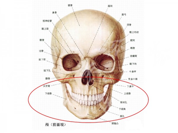 attachments-2021-06-JARlEVd260c878df9abbd.jpeg