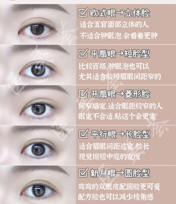 双眼皮形状与脸型画法
