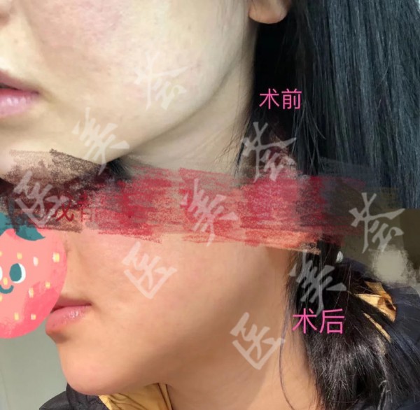 attachments-2021-08-d4JGtJn5612762aa63a8b.jpeg